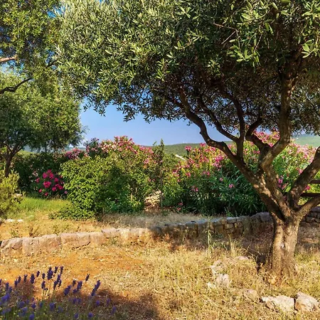 Holiday home Nice Home In Kornic With House Sea View Kornic