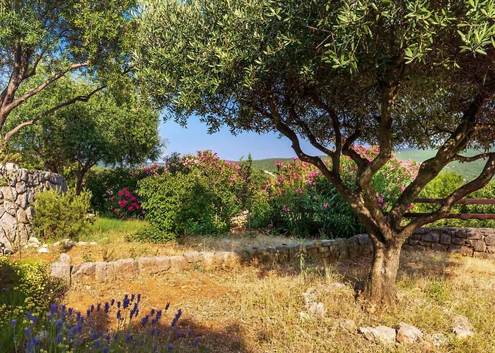 Vakantiehuis In With House Sea View Kornić